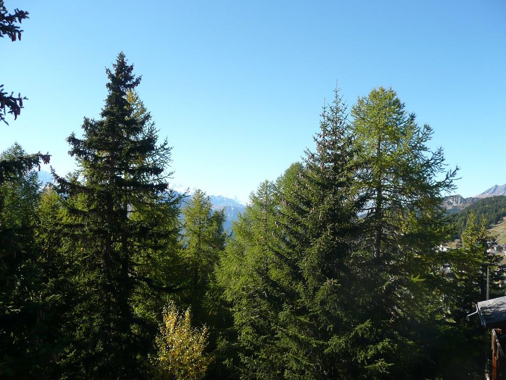 Sicht vom Balkon Sicht vom Balkon