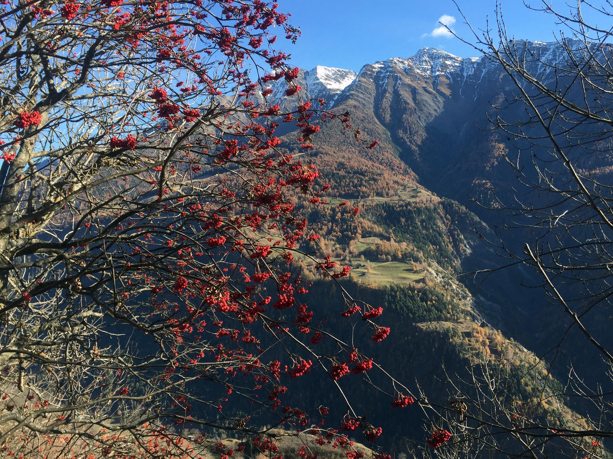 IMG_0933_2 IMG_0933_2