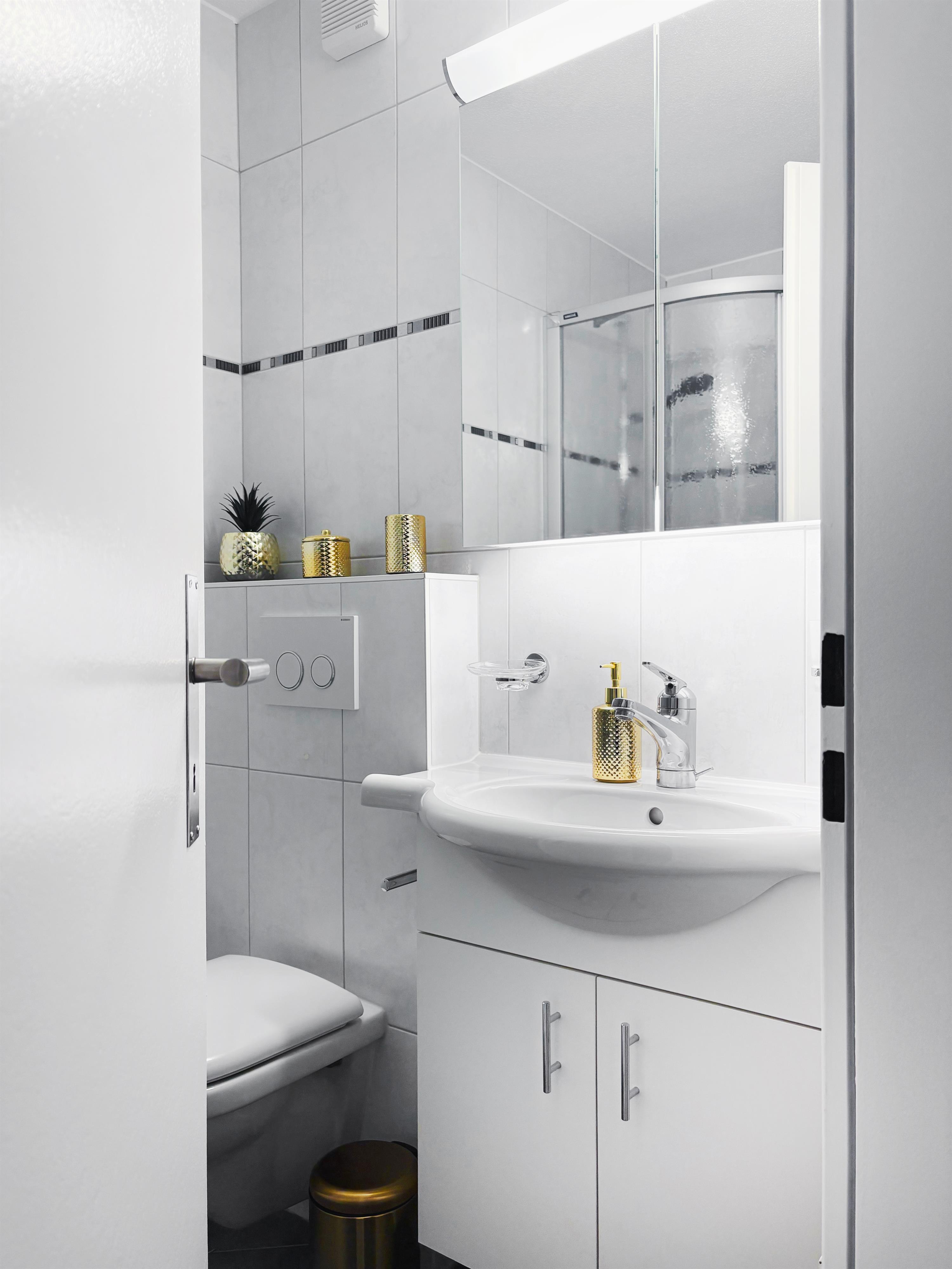 Valère C 244_dusche-WC Valère C 244_dusche-WC