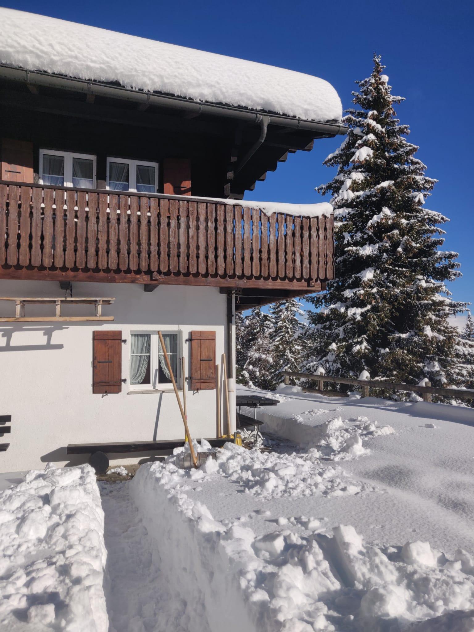 IMG-20201210-WA0025 IMG-20201210-WA0025