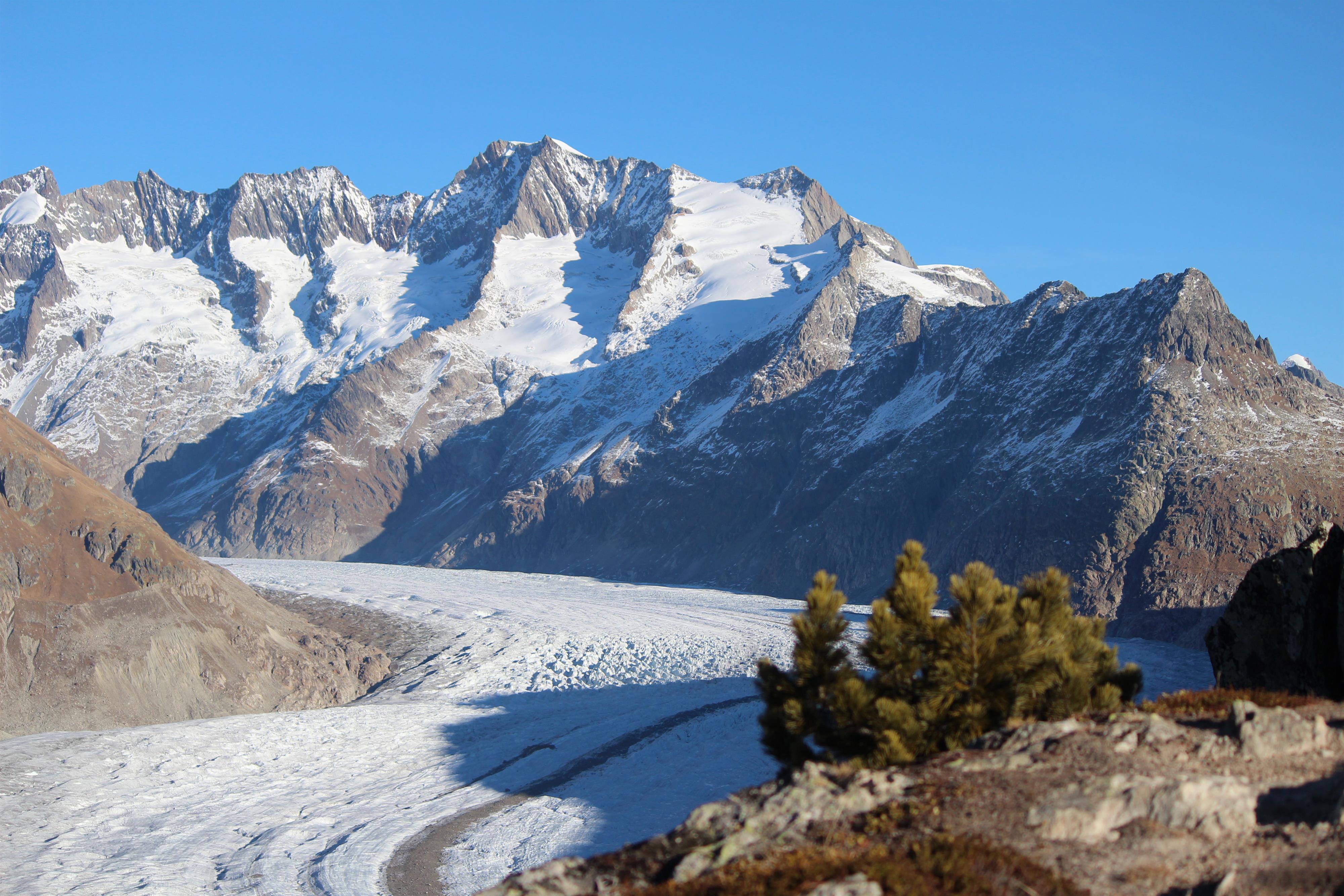 Aletschgletscher Aletschgletscher