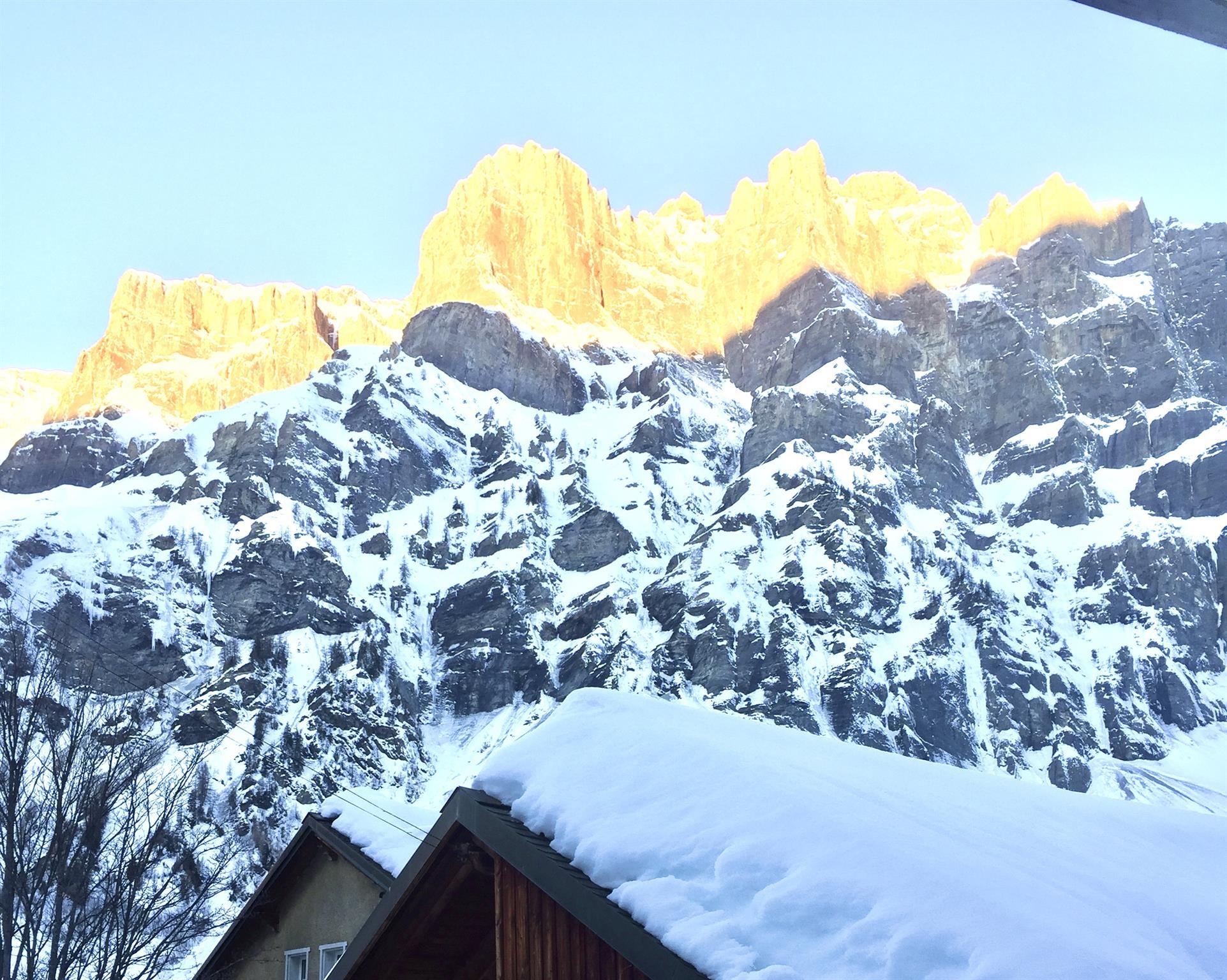 Soldanella_aussicht-winter_b Soldanella_aussicht-winter_b