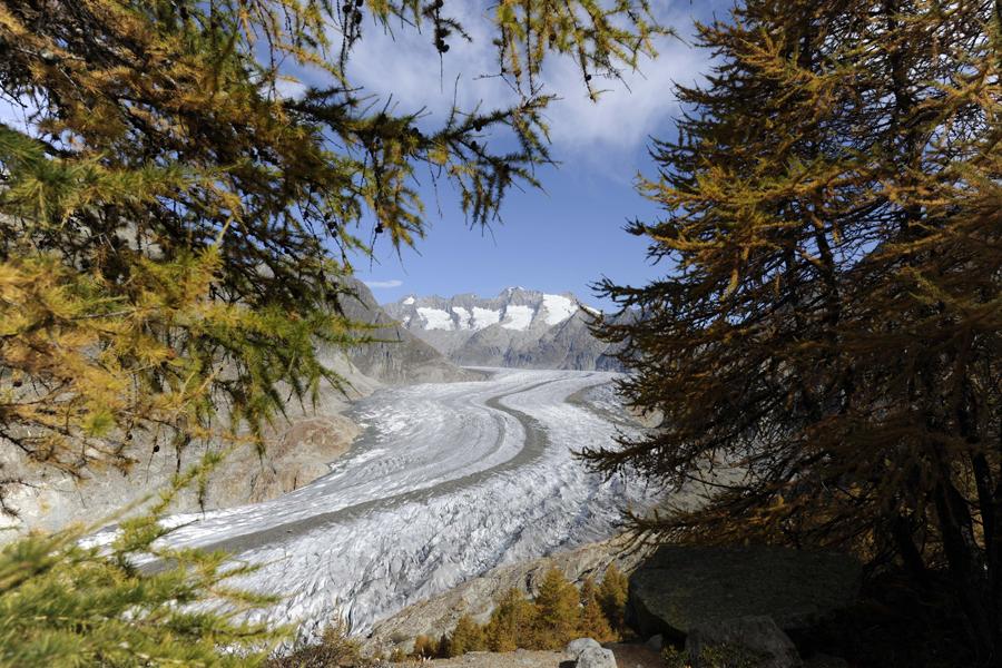 Aletschgletscher - Herbst Aletschgletscher - Herbst