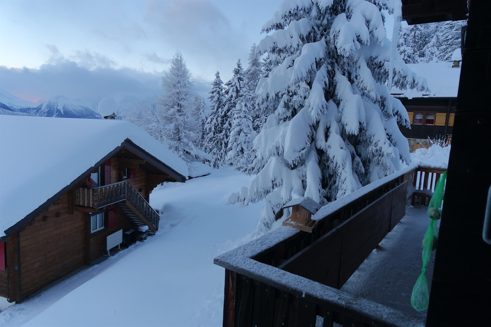 Winter-Aussicht Winter-Aussicht