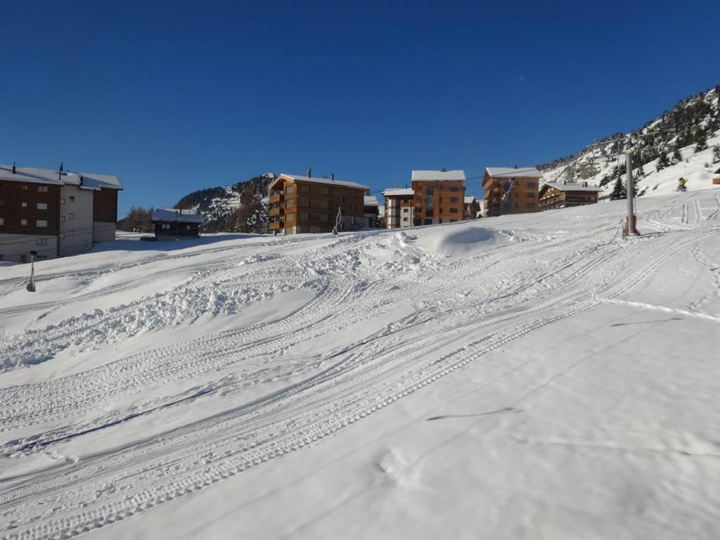 Riederalp_Ferienwohnungen_Aletsch_Service_Edelweis Riederalp_Ferienwohnungen_Aletsch_Service_Edelweis