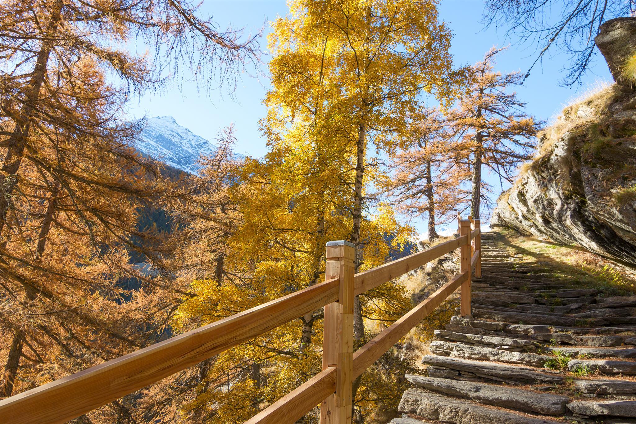 haus_am_biel_saas_fee_herbst4 haus_am_biel_saas_fee_herbst4