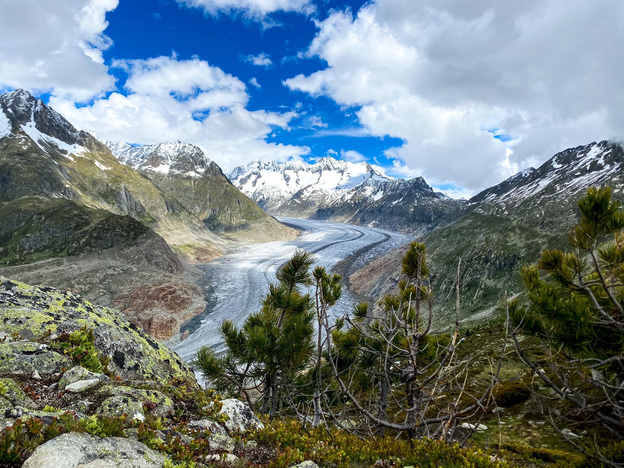 176da146-d7d1-4cc0-9b14-81c31441472b 176da146-d7d1-4cc0-9b14-81c31441472b