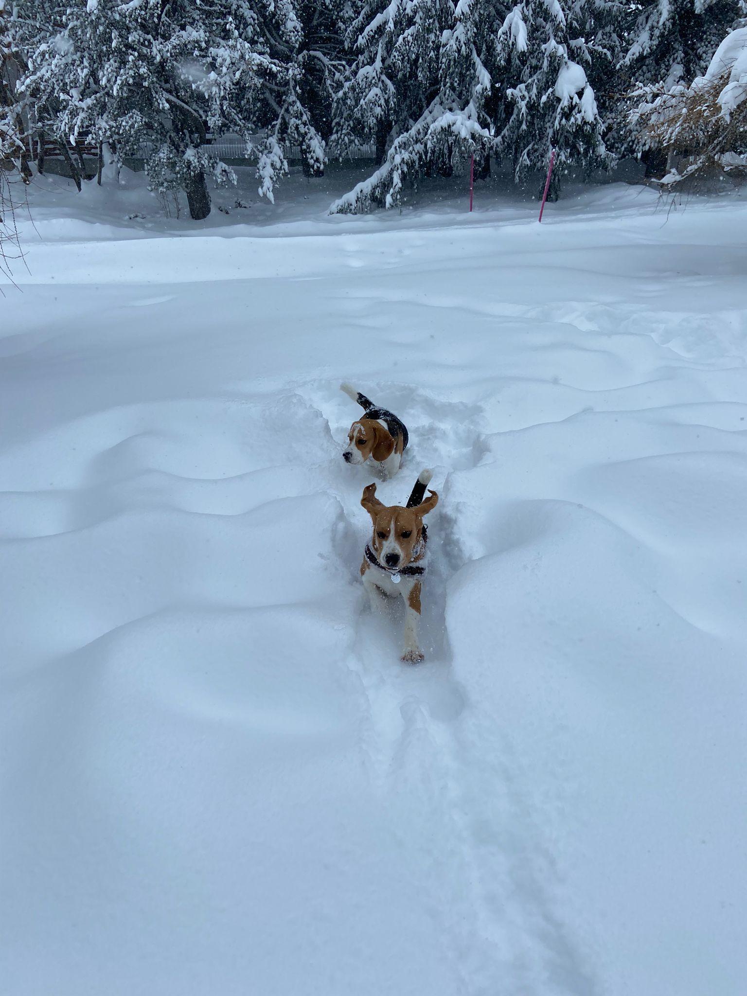 b03c98b7-27a9-497b-8646-3971e665ad22 b03c98b7-27a9-497b-8646-3971e665ad22