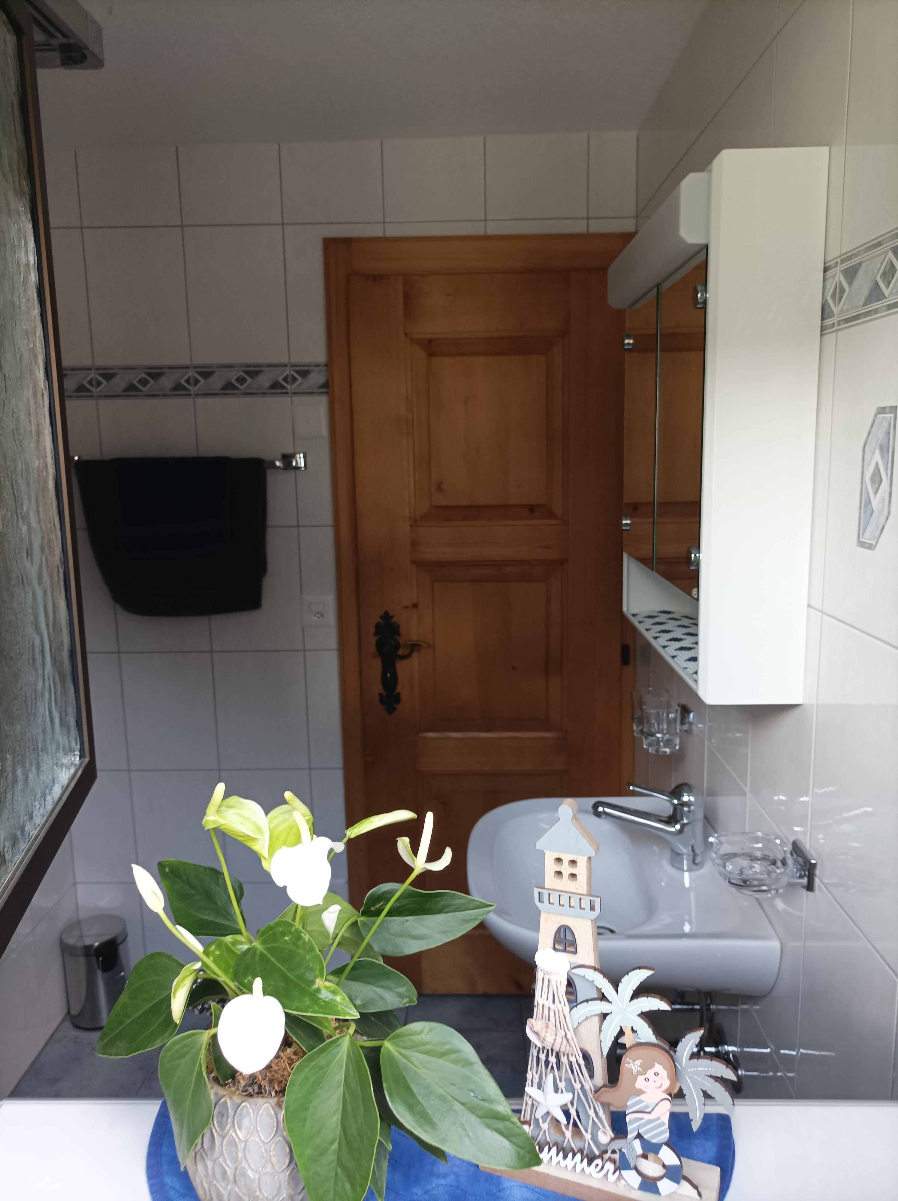 WC/ Dusche_20220515_150317 WC/ Dusche_20220515_150317