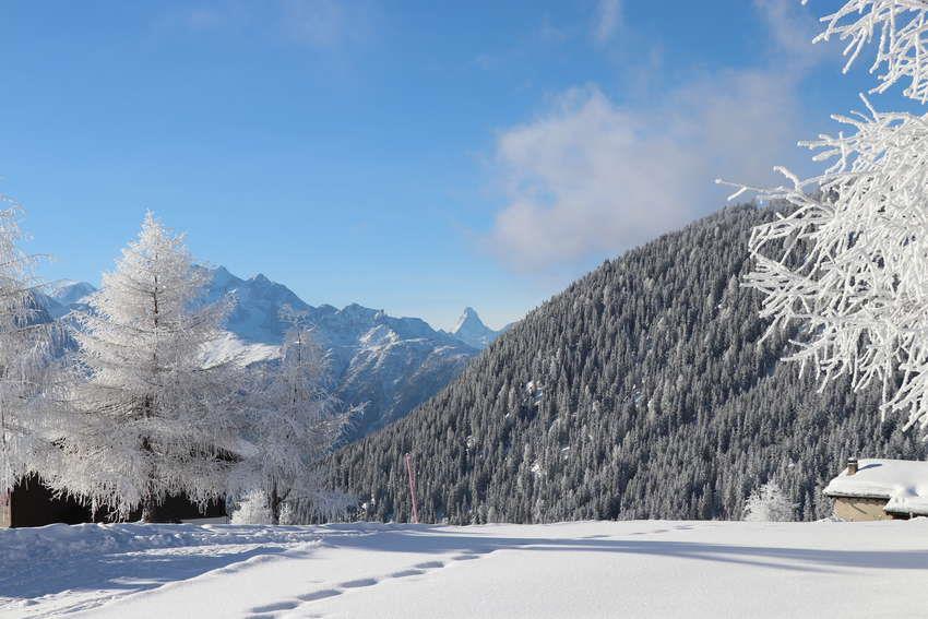 Winterlandschaft_Riederalp_1 Winterlandschaft_Riederalp_1