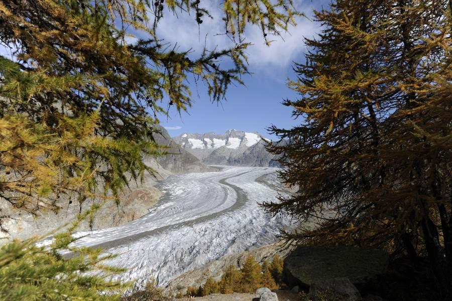 Aletschgletscher - Herbst Aletschgletscher - Herbst