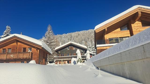 47796473-d011-4eb5-986d-18f298ddbdb9 47796473-d011-4eb5-986d-18f298ddbdb9