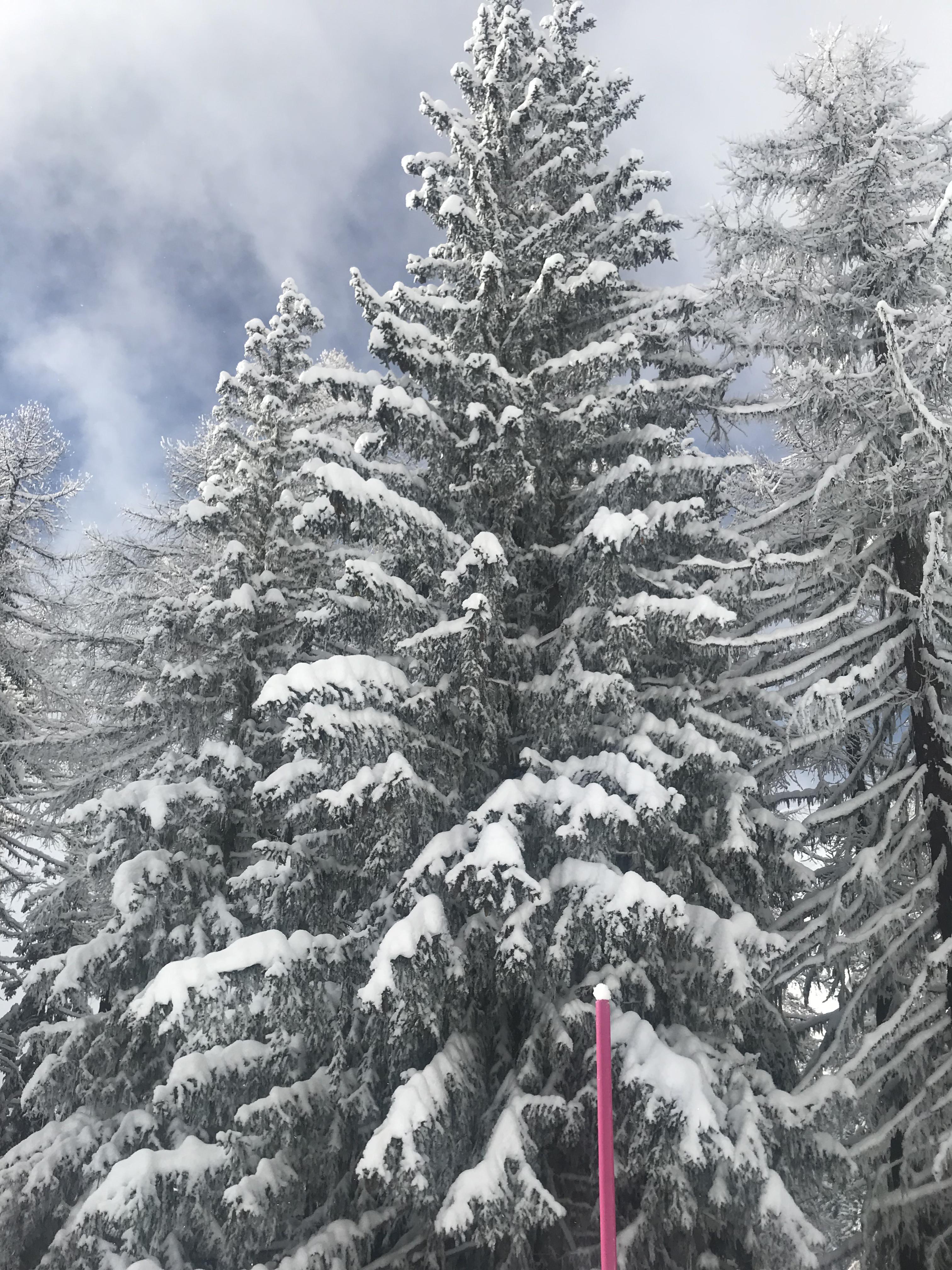 IMG_4006.heic IMG_4006.heic