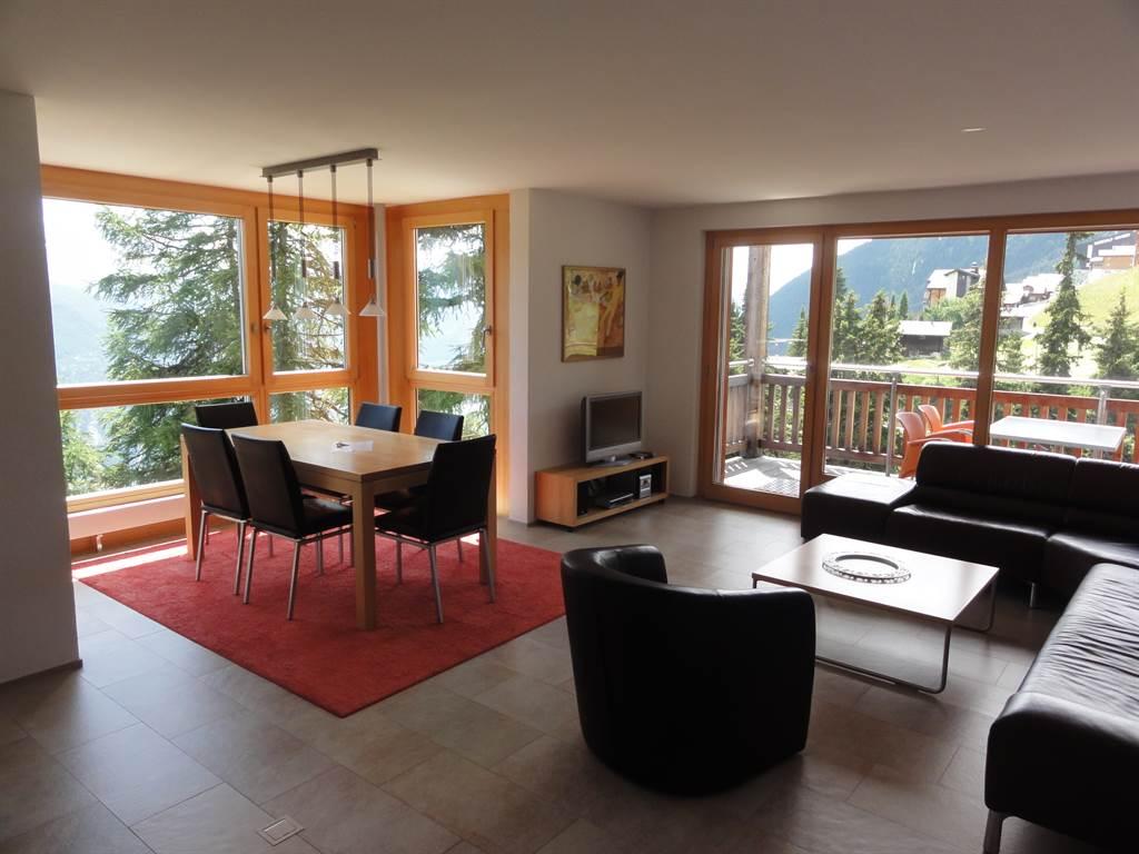 Wohnzimmerbereich Wohnzimmerbereich