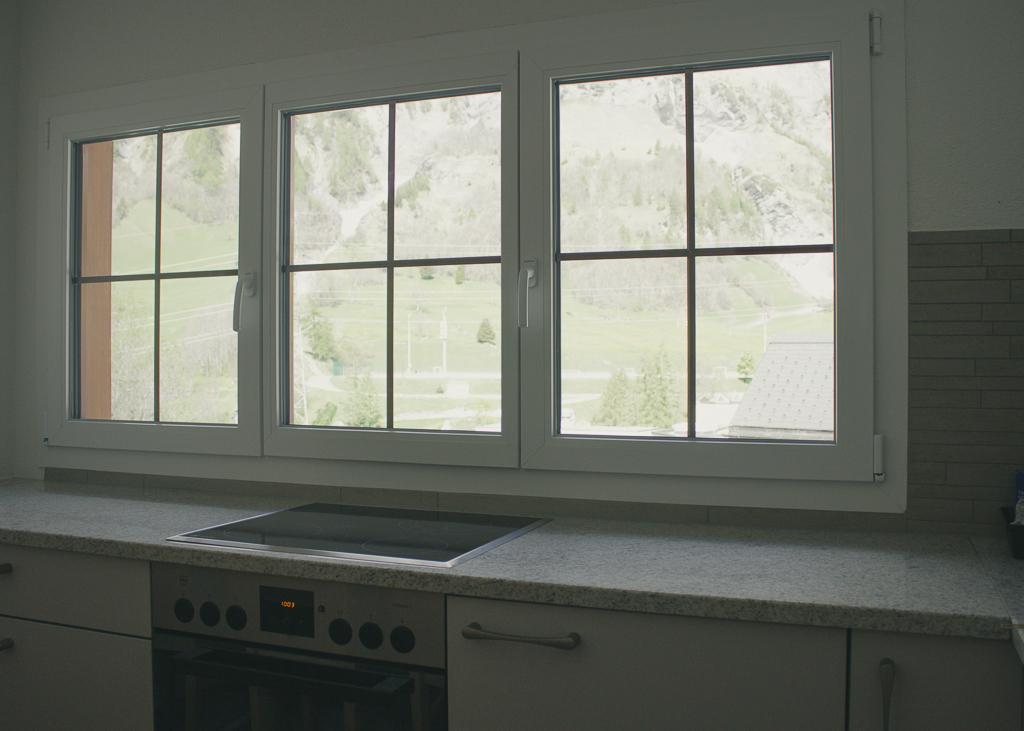 alpenrösli-002 alpenrösli-002