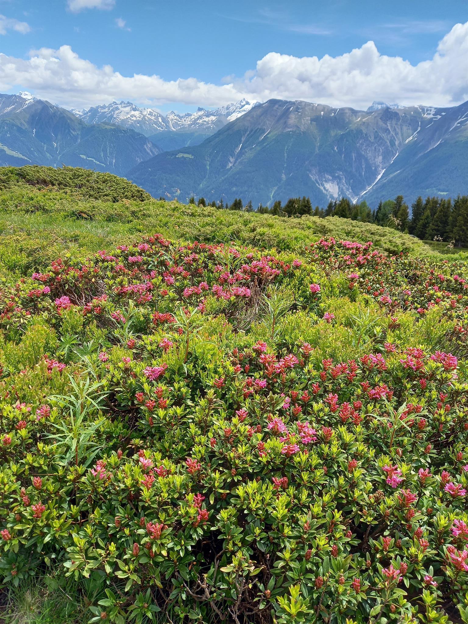 20200621_125245 20200621_125245