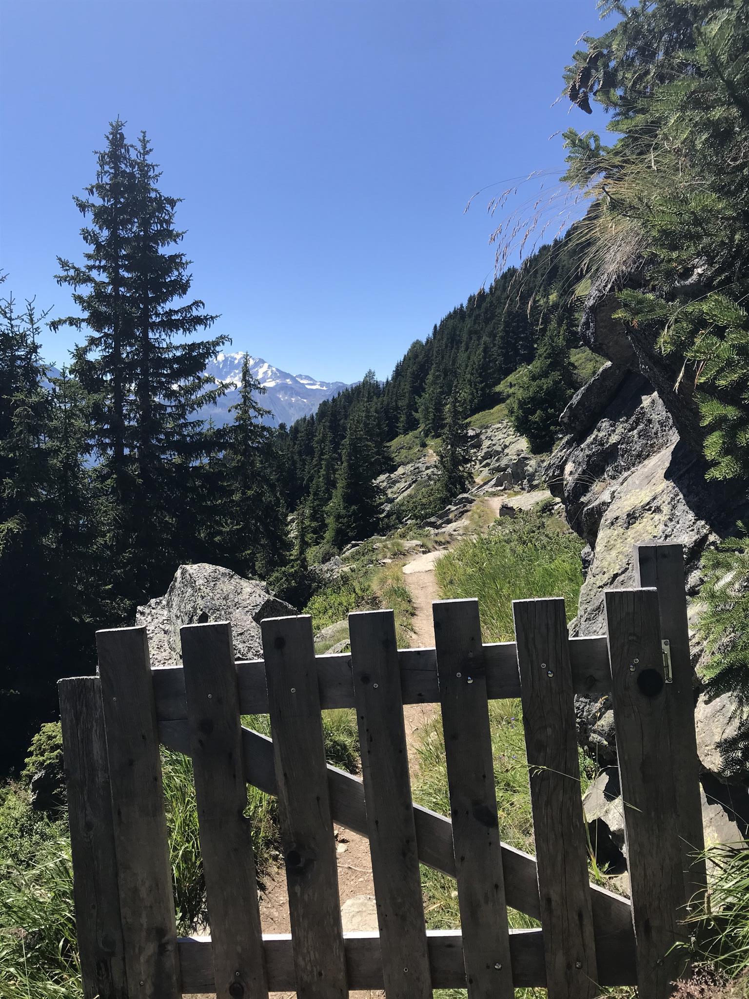 Wanderweg beim Riederhorn Wanderweg beim Riederhorn