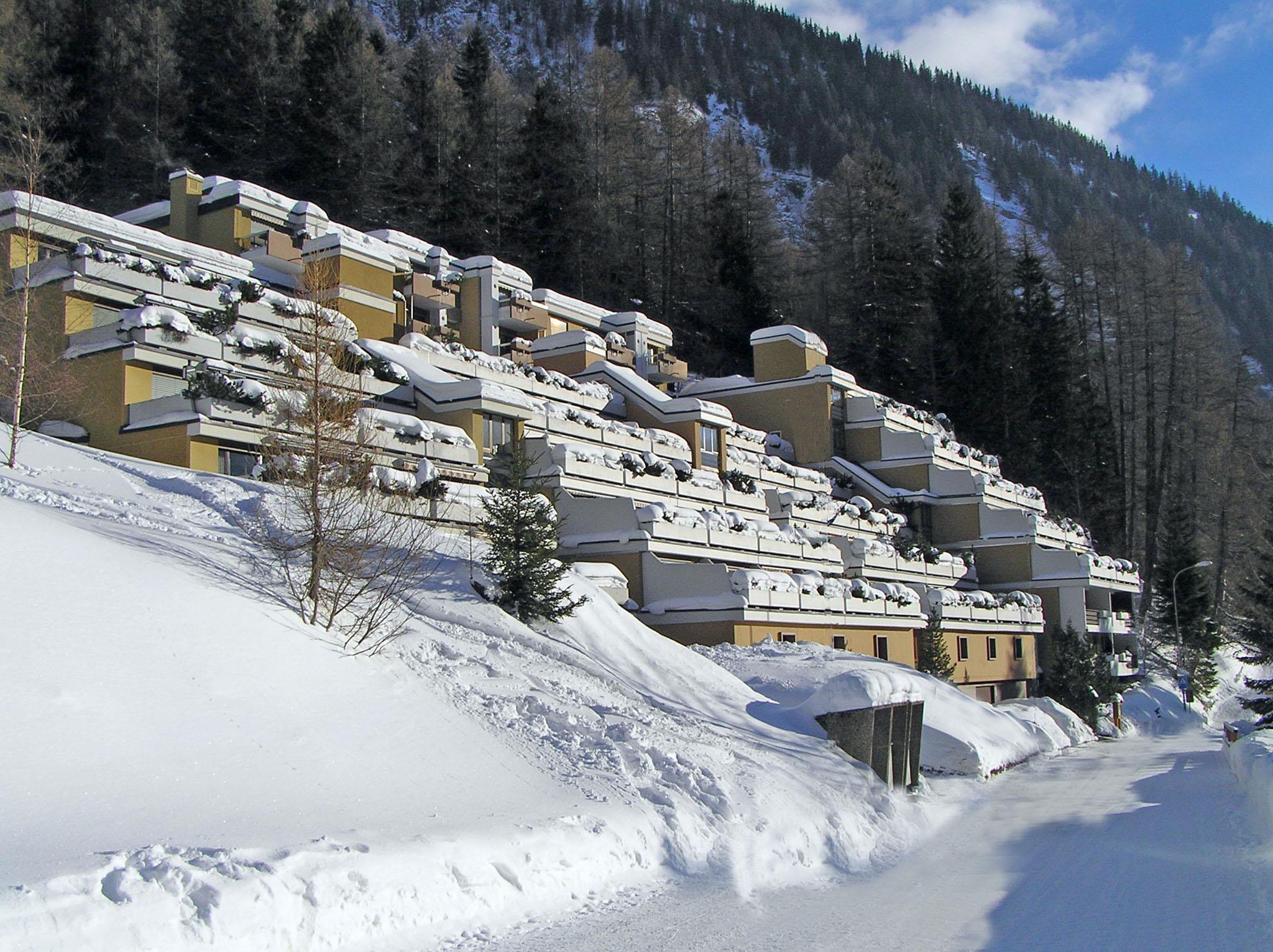 Lärchenwald_winter Lärchenwald_winter