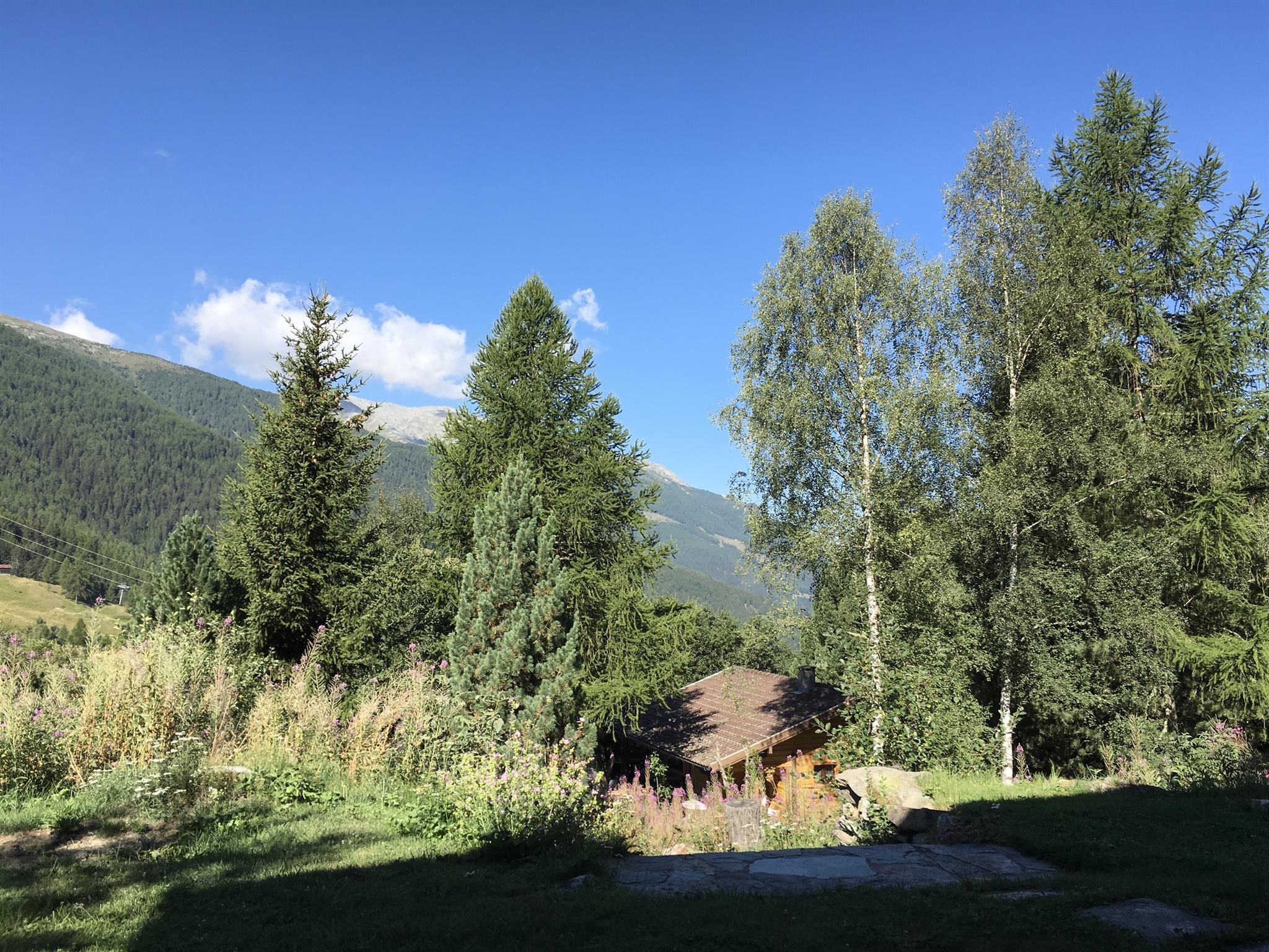 Sicht  talwärts Sicht  talwärts