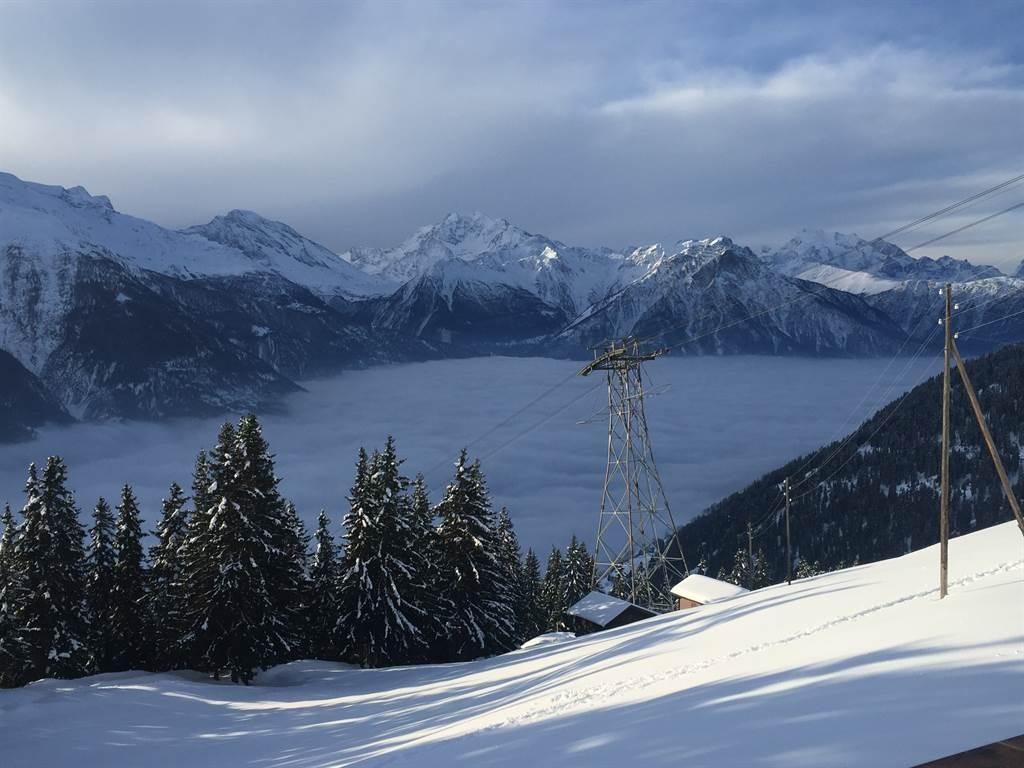 Nebelmeer Winter Nebelmeer Winter
