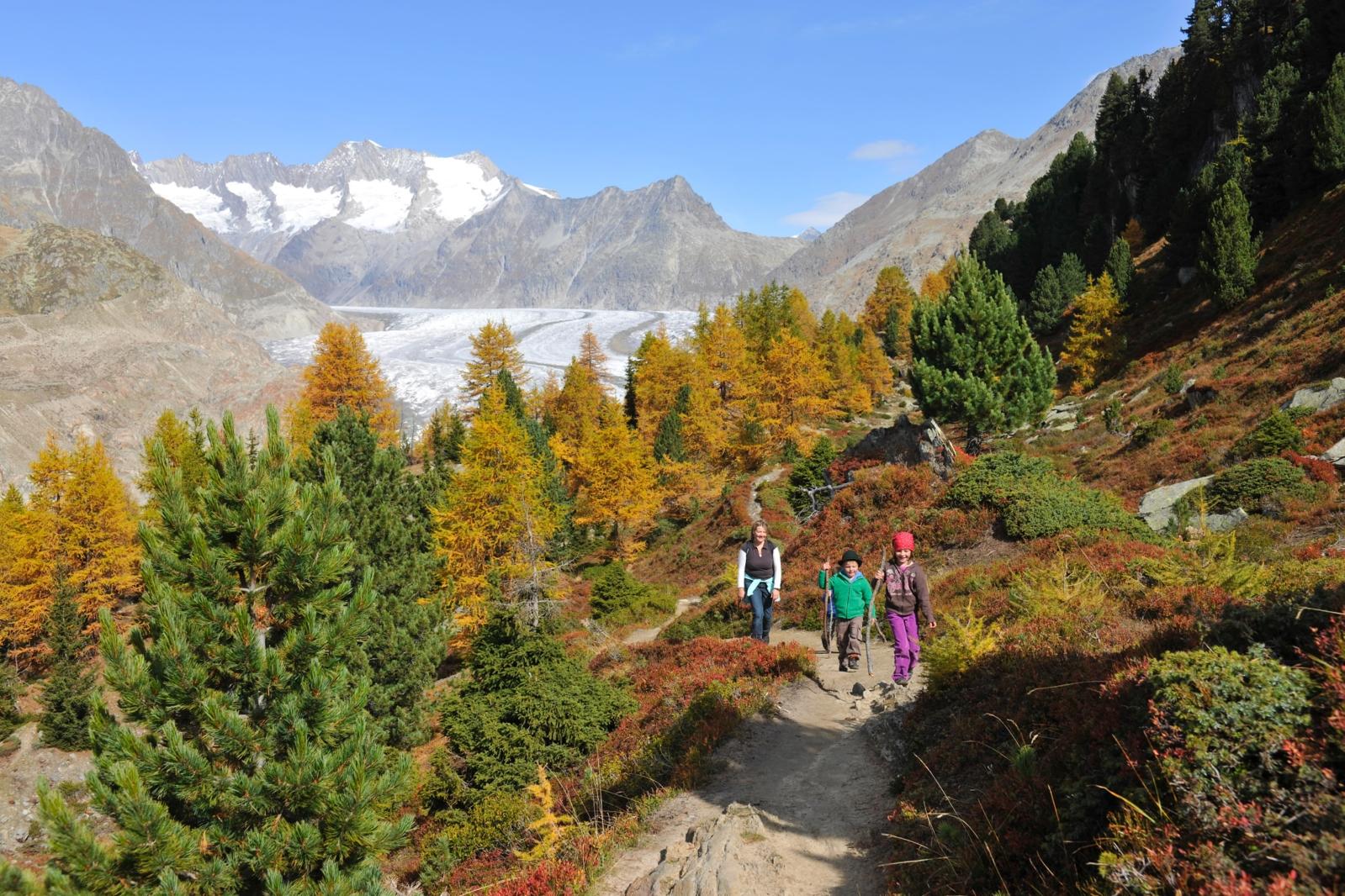 Aletschgletscher im Herbst Aletschgletscher im Herbst