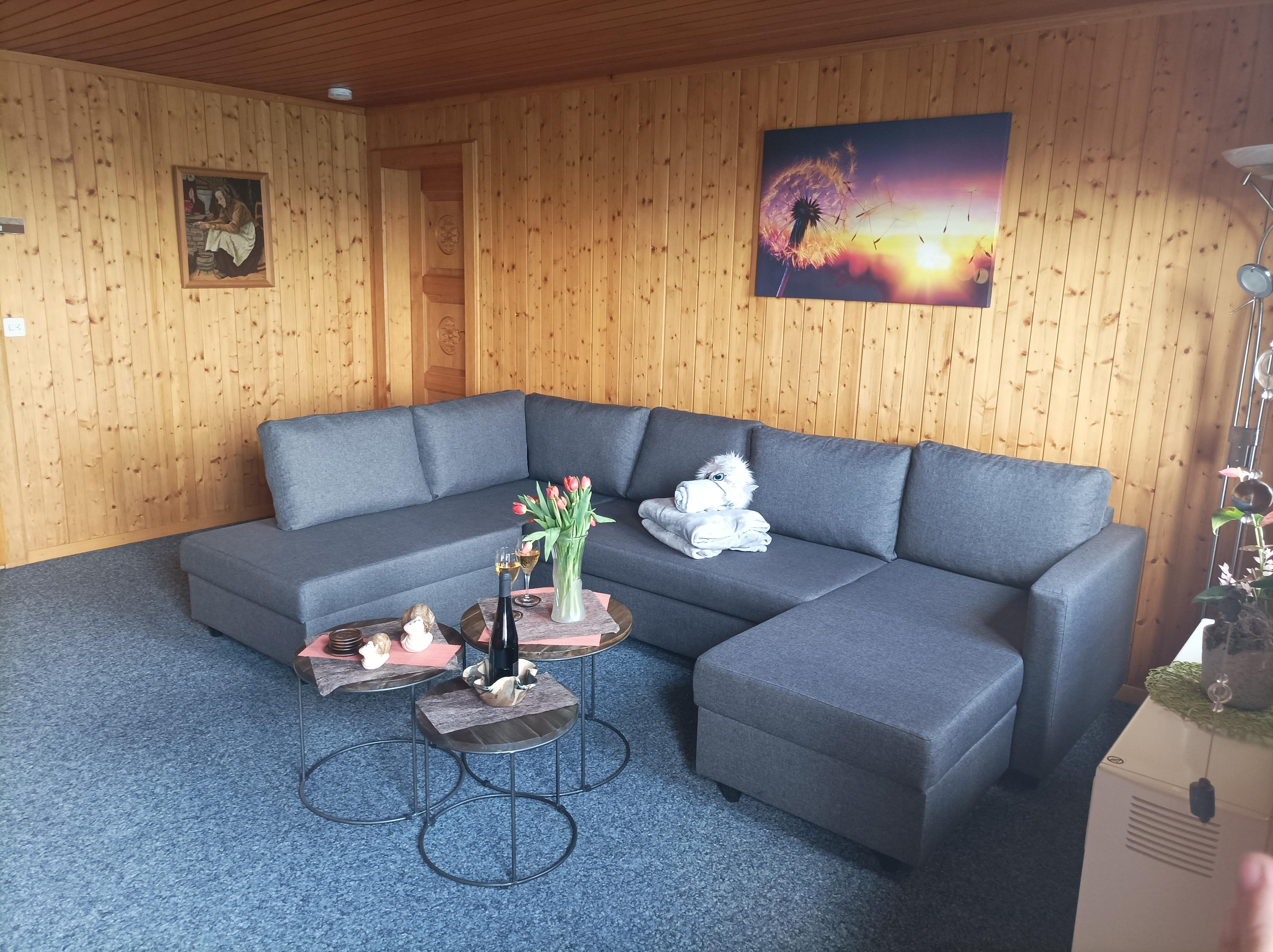 Wohnzimmer mit ausziehbarem Sofa_20220515_150042 Wohnzimmer mit ausziehbarem Sofa_20220515_150042