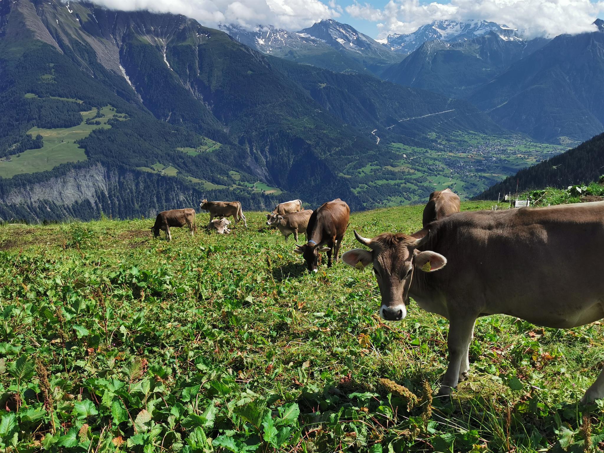 Blick auf den Simplonpass Blick auf den Simplonpass