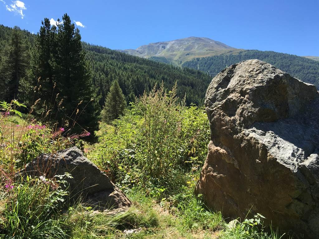 Sicht auf das Augstbordhorn Sicht auf das Augstbordhorn
