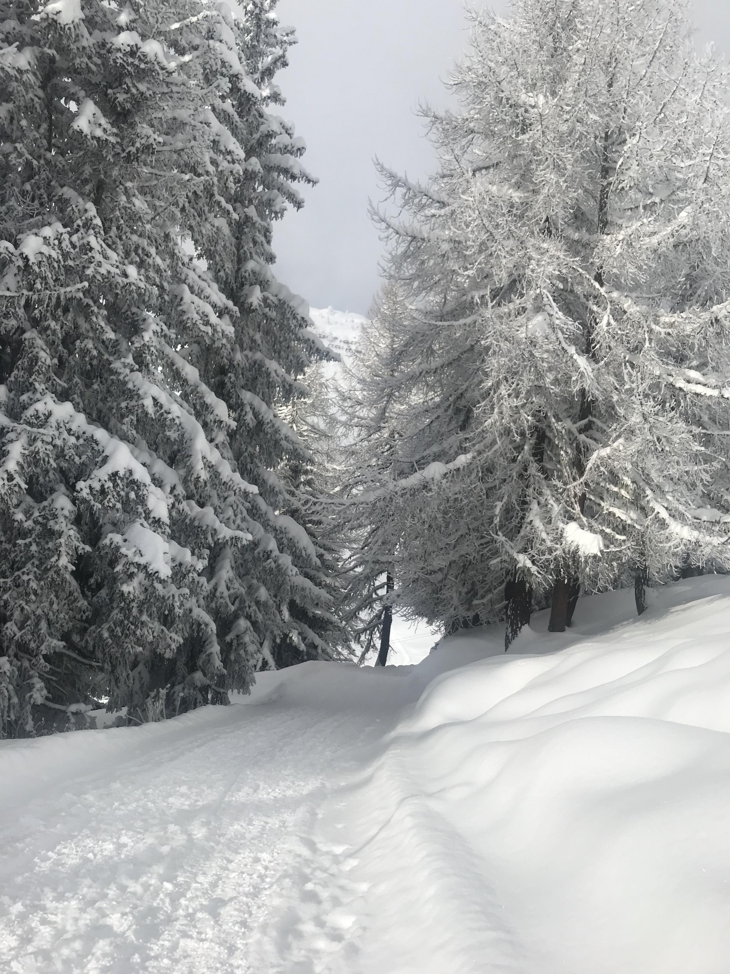 IMG_4007.heic IMG_4007.heic