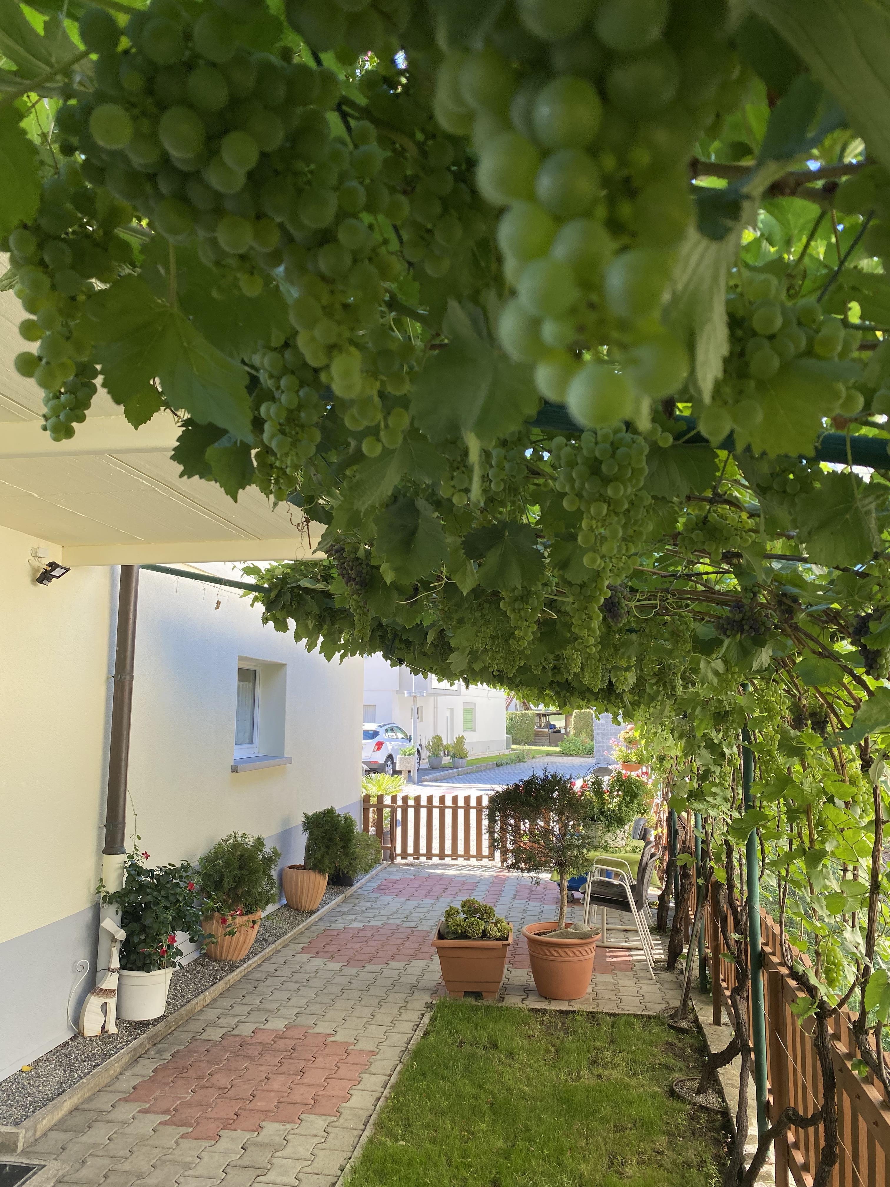 Seitenansicht West Seitenansicht West