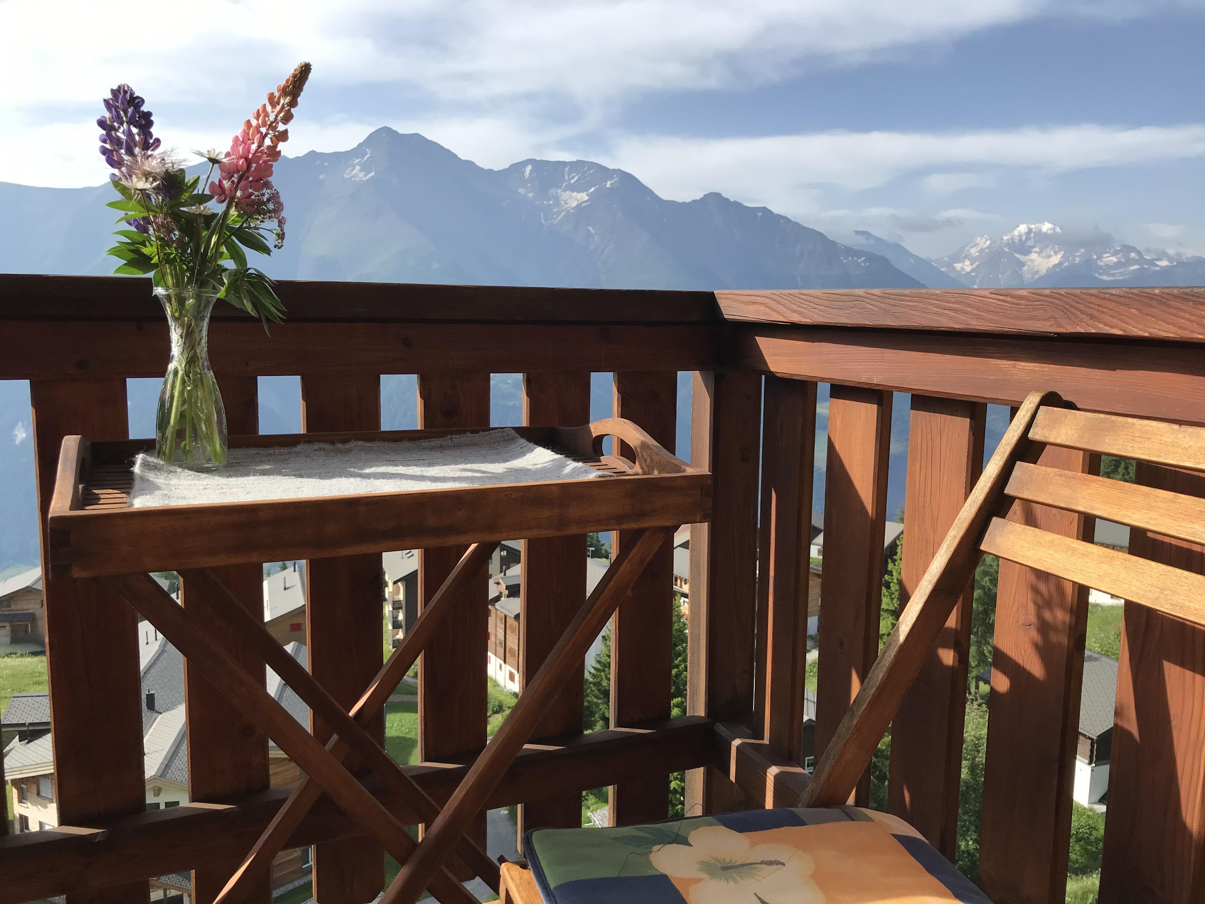 Terrasse Süd Terrasse Süd