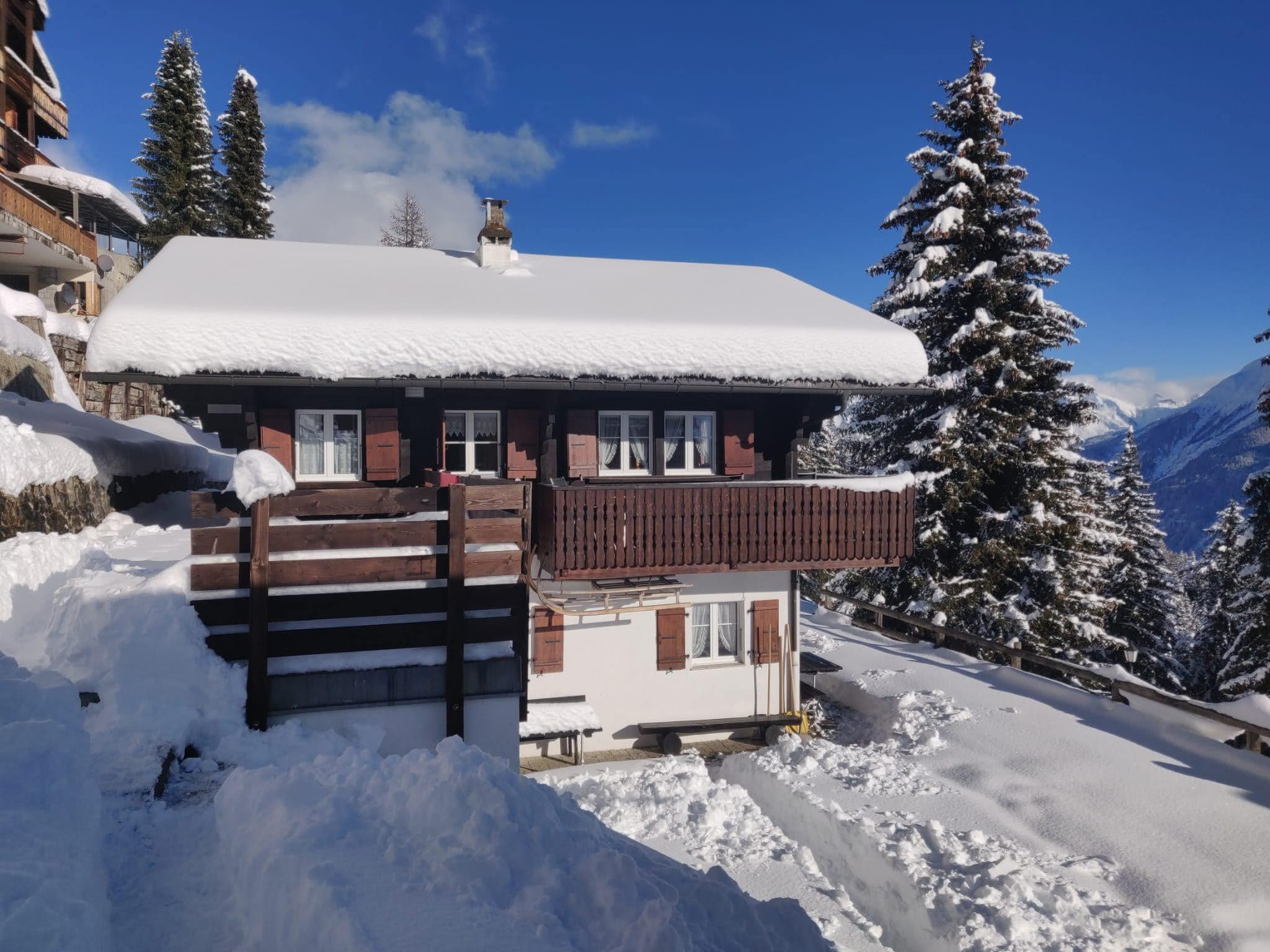 IMG-20201210-WA0024 IMG-20201210-WA0024