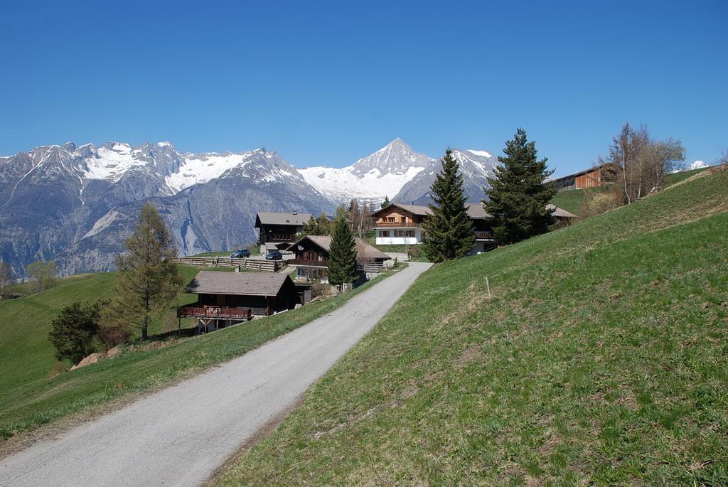 Gredetsch Sommer Gredetsch Sommer