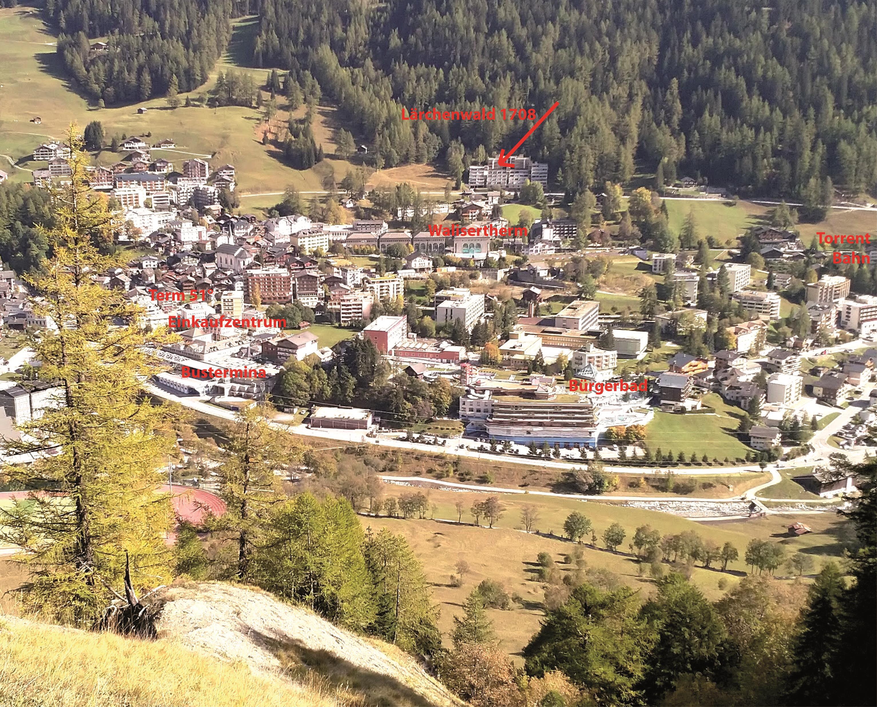 Lärchenwald 1708_distanz Lärchenwald 1708_distanz