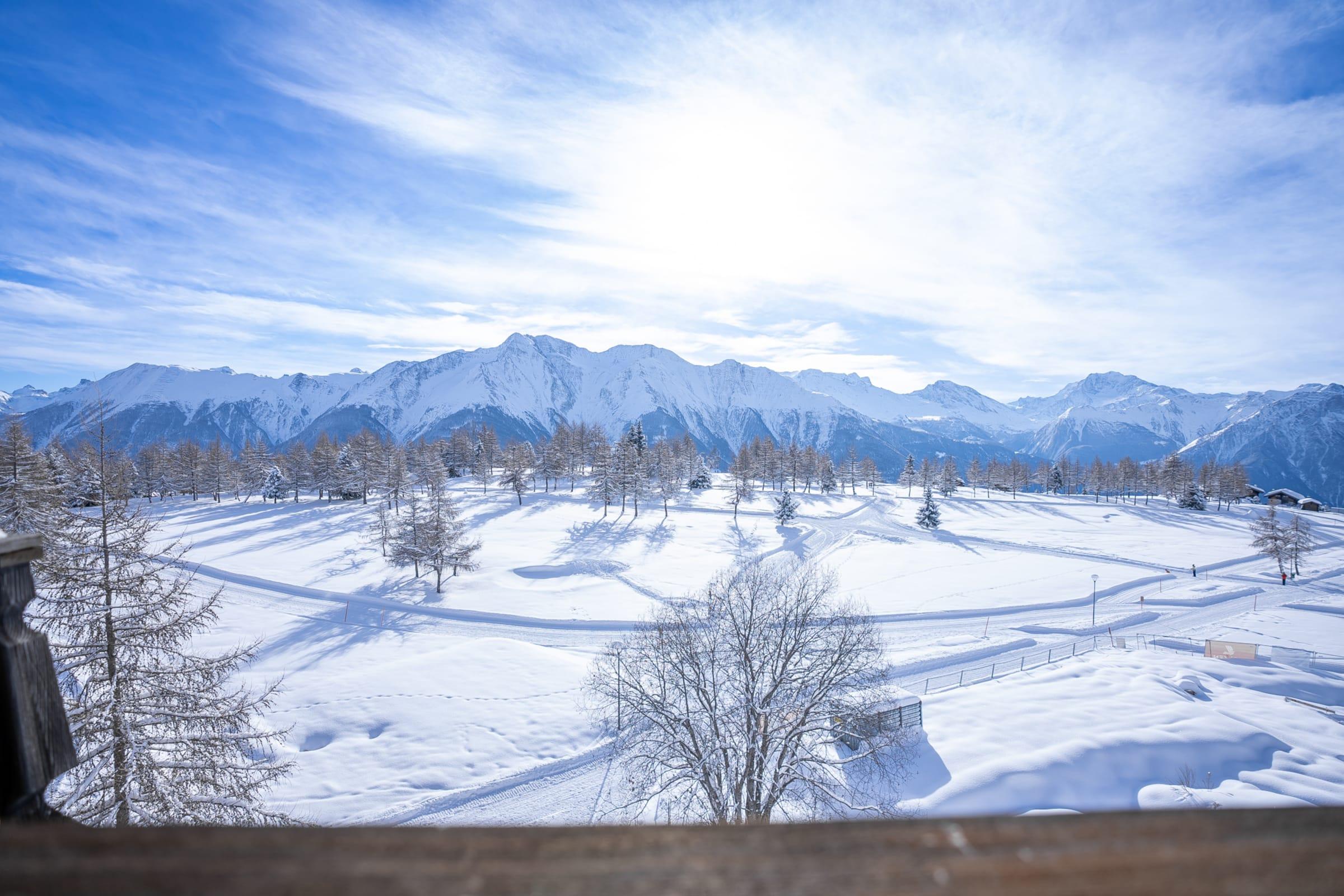 Valaisia_Whg50_04 Valaisia_Whg50_04