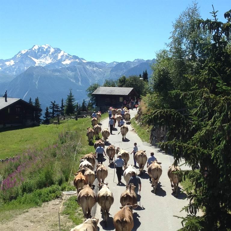 Impressionen Impressionen