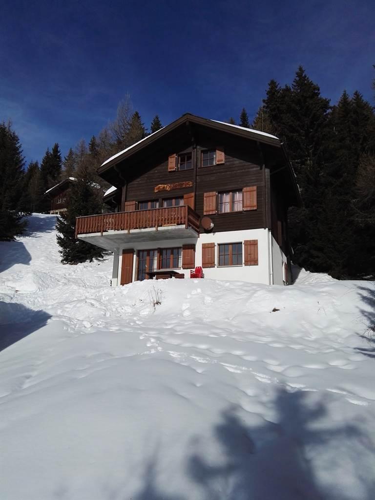 IMG_20160202_142939 IMG_20160202_142939