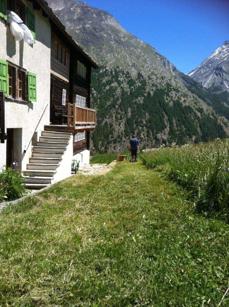 Wildi viel Sonne und ruhig Wildi viel Sonne und ruhig