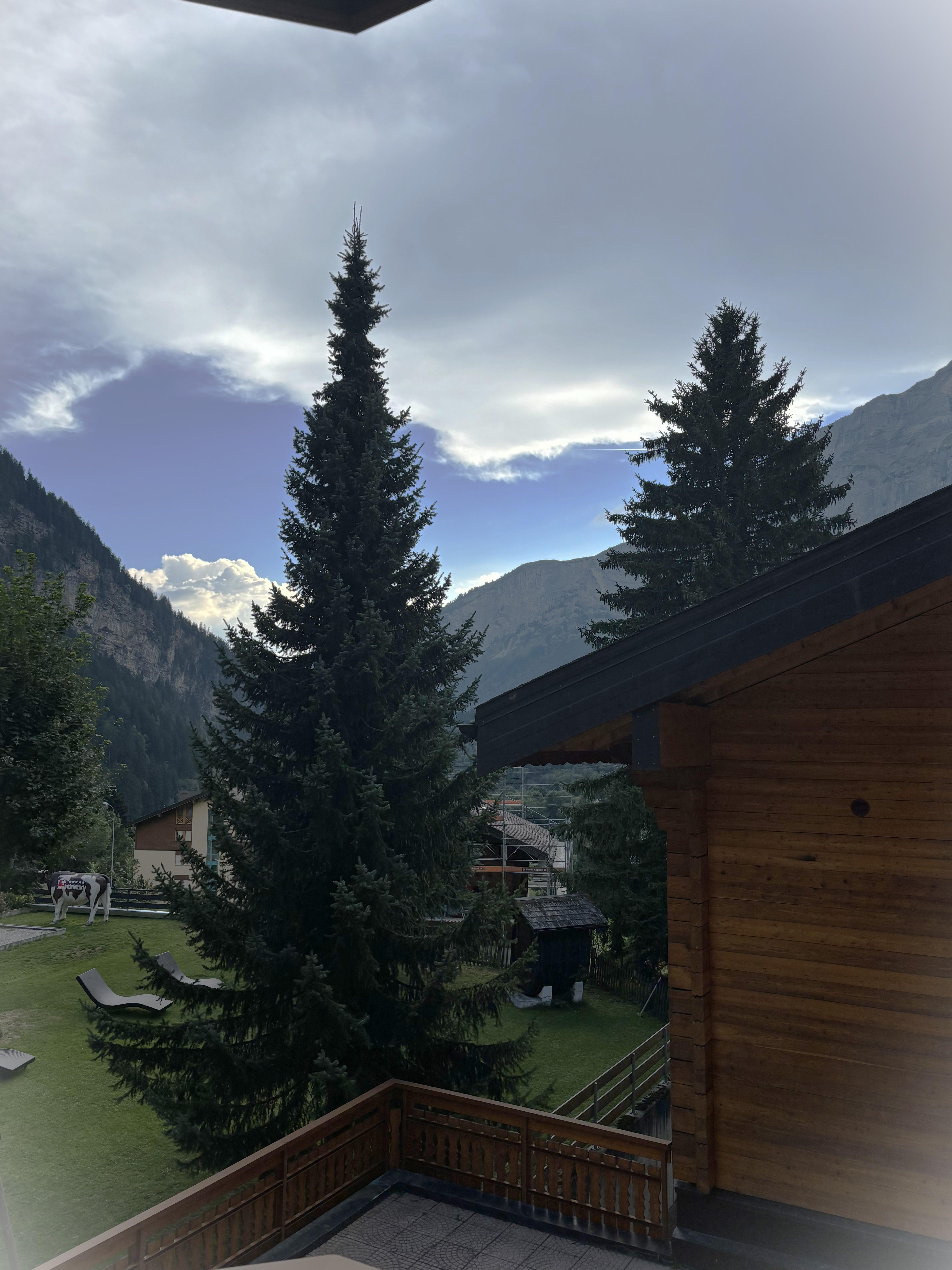 Darianne 23_ausblick_b Darianne 23_ausblick_b