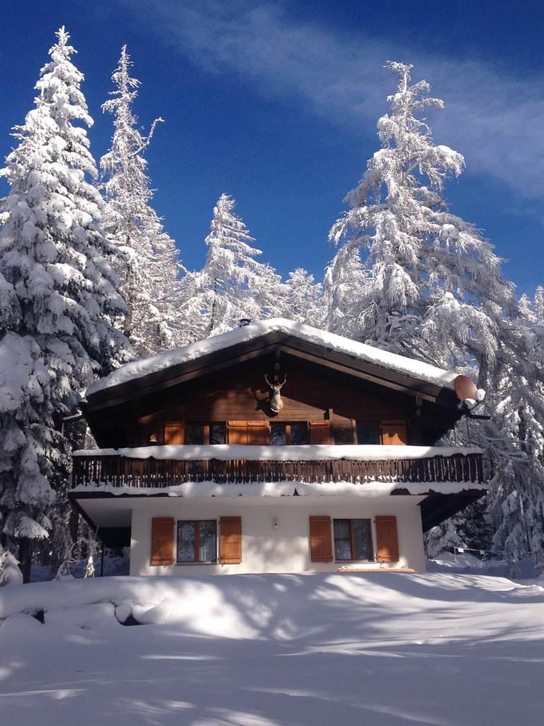 Chalet Winter Chalet Winter