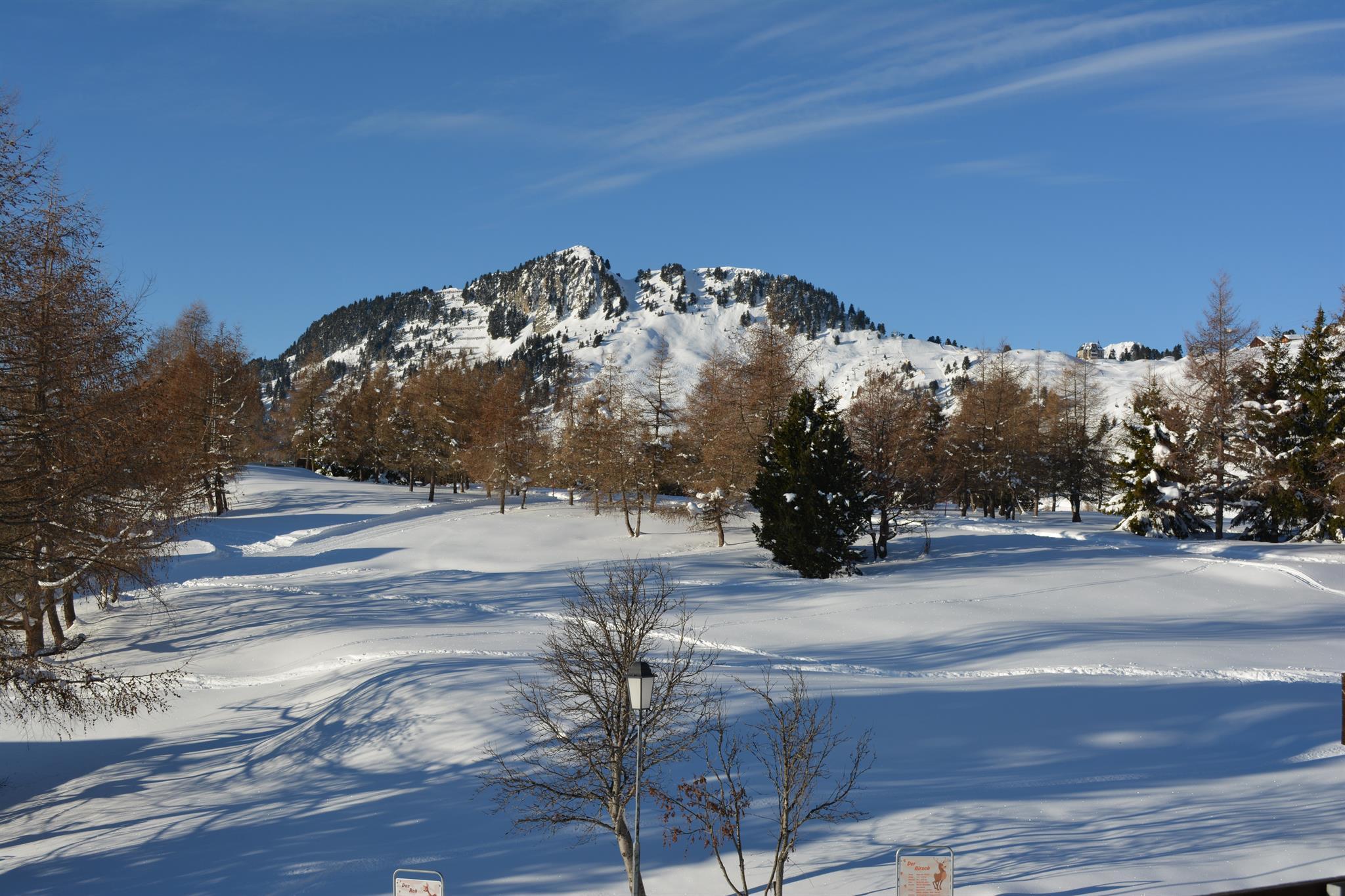Aussicht vom Balkon Aussicht vom Balkon