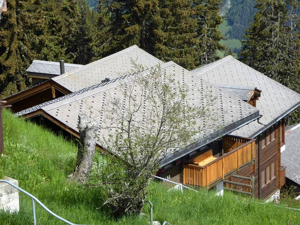 Alba Ansicht von der Strasse Alba Ansicht von der Strasse