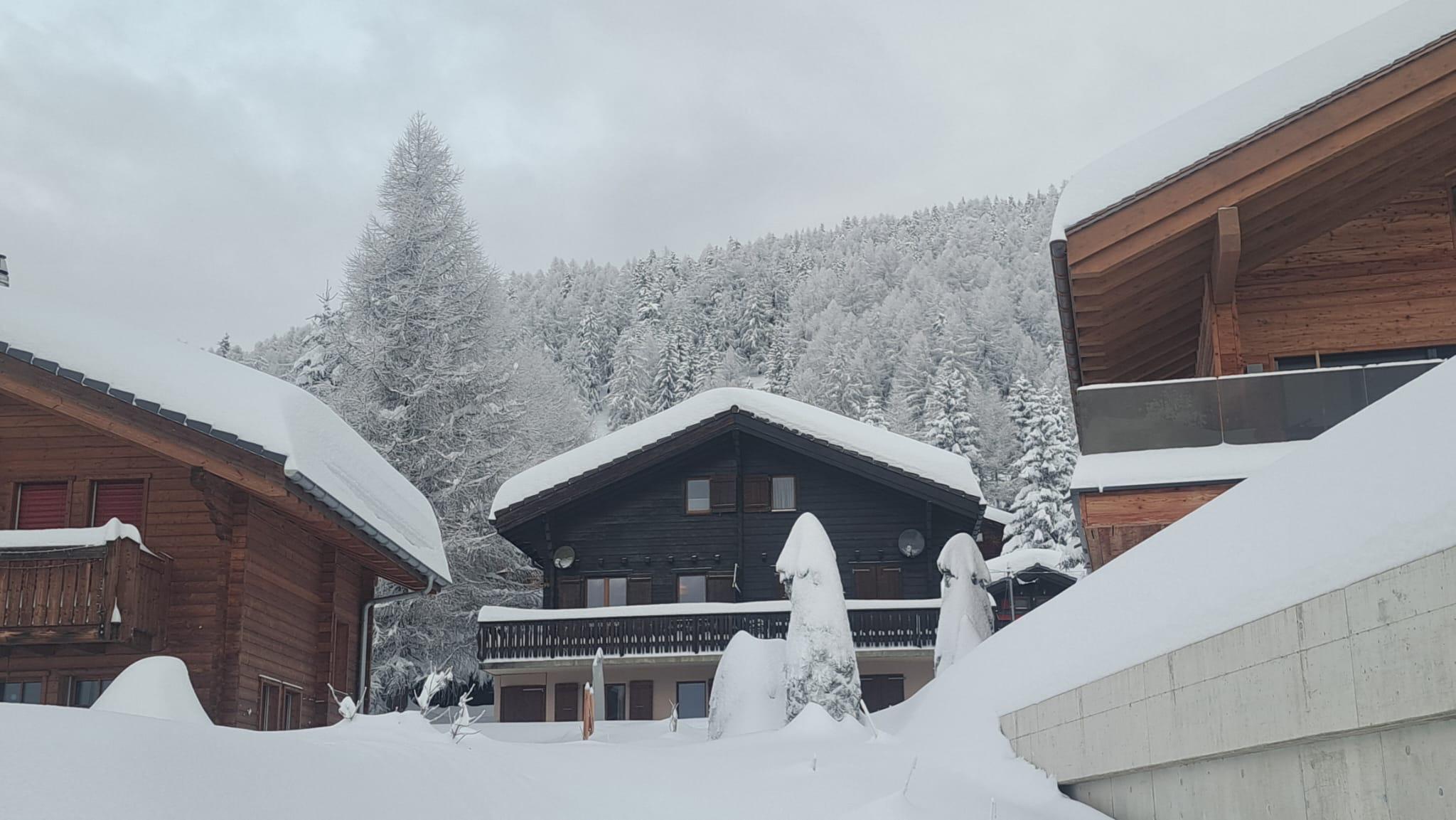 dd147857-0782-4c63-a6d0-5cca1b1932f6 dd147857-0782-4c63-a6d0-5cca1b1932f6