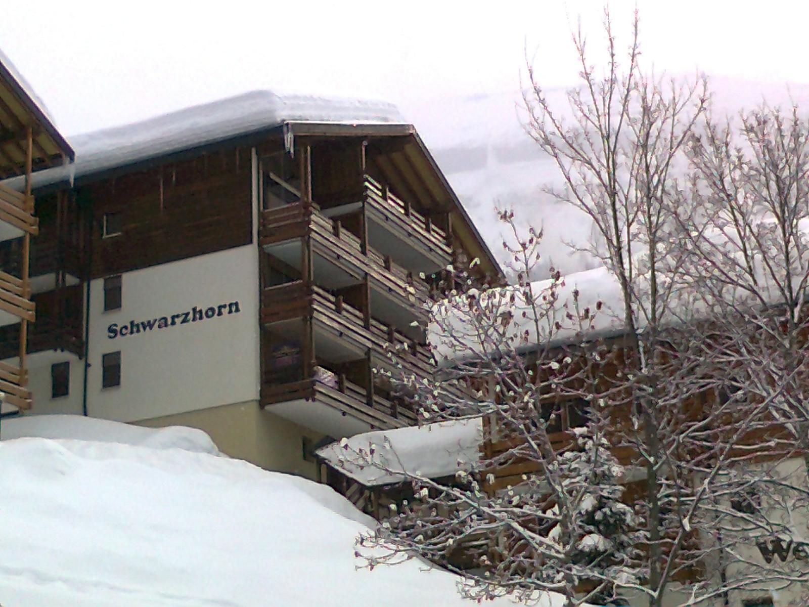 Schwarzhorn_winter Schwarzhorn_winter