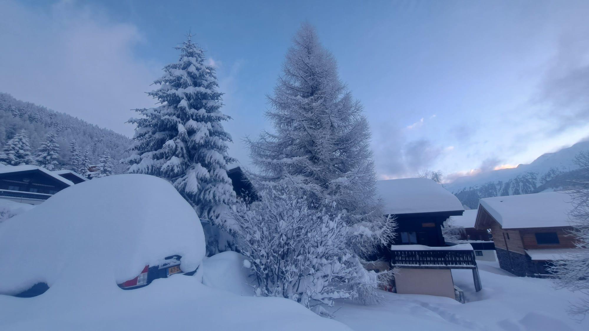 acd76f8e-17c7-4e39-bfd3-c99a1eeda717 acd76f8e-17c7-4e39-bfd3-c99a1eeda717