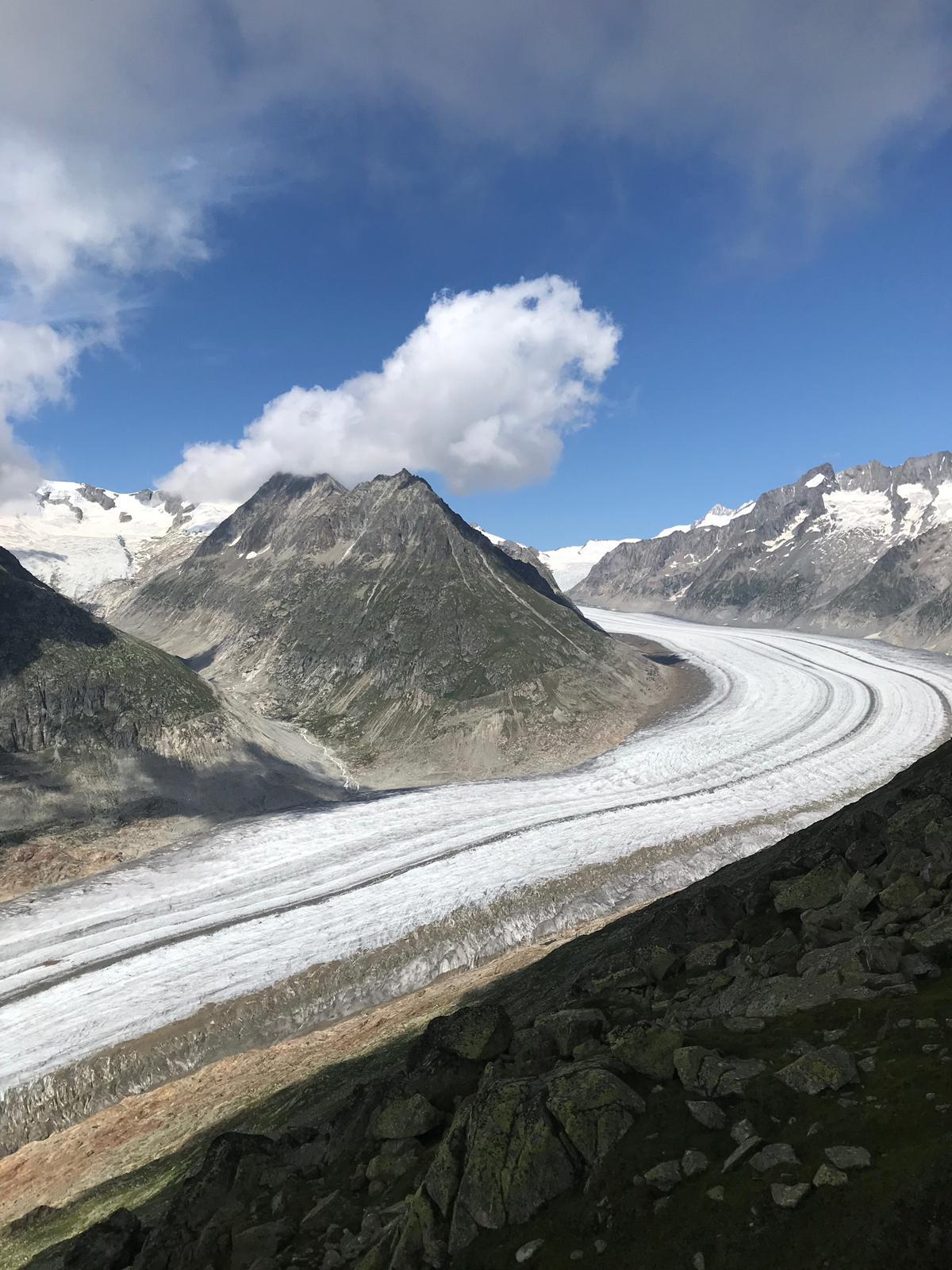 533475bf-8768-43d8-b08c-4f45f2a4f1b5 533475bf-8768-43d8-b08c-4f45f2a4f1b5