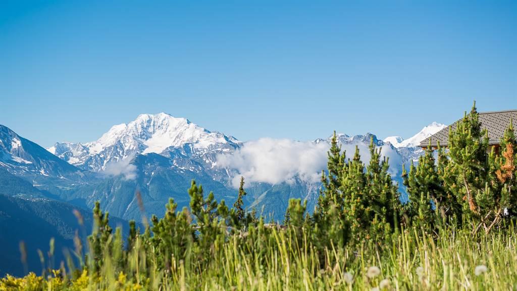 DSC_5543_fotoweb15_riederalp-fewo DSC_5543_fotoweb15_riederalp-fewo