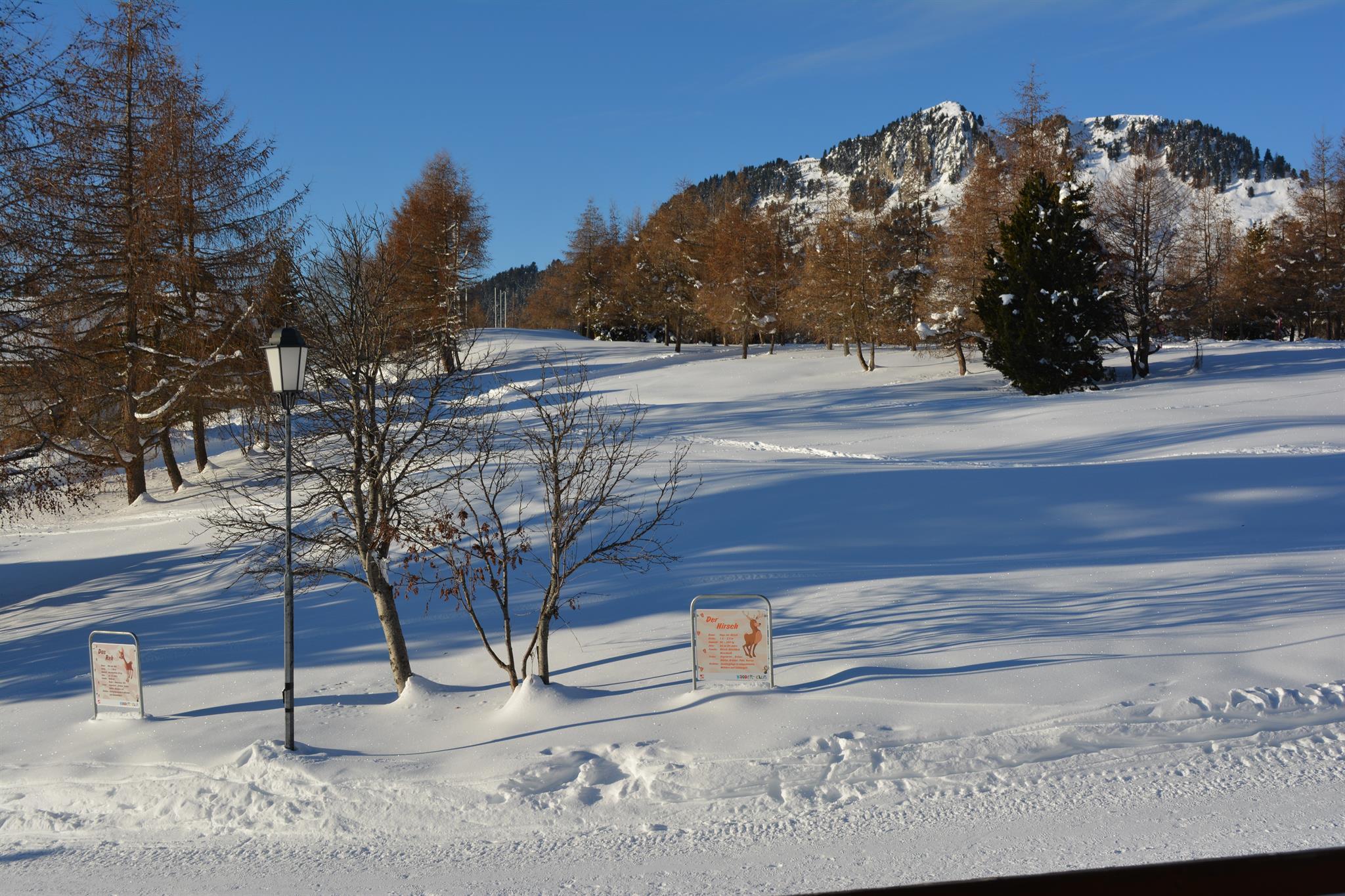 Balkon Aussicht Balkon Aussicht