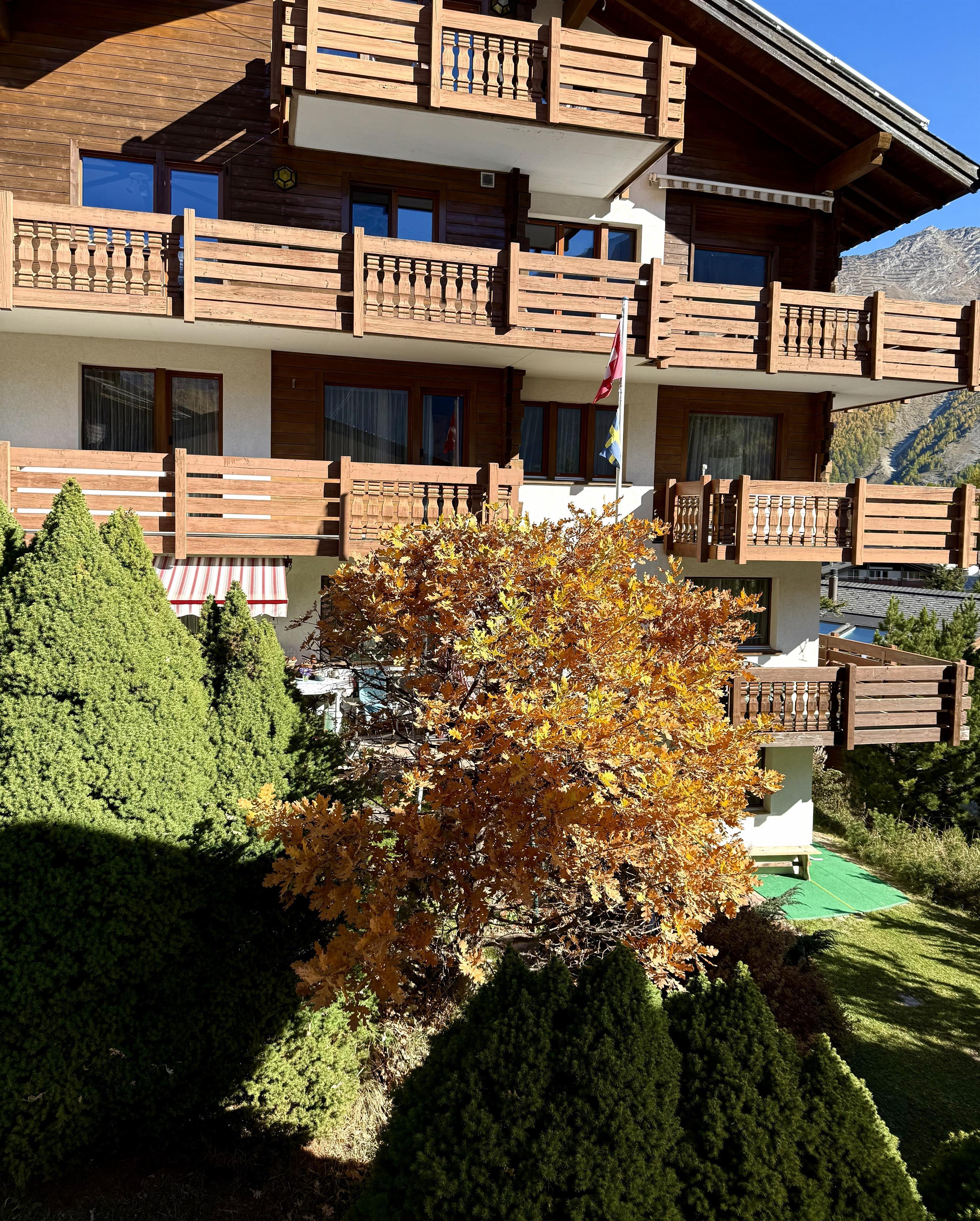 Astor mit Eiche 2025 Astor mit Eiche 2025