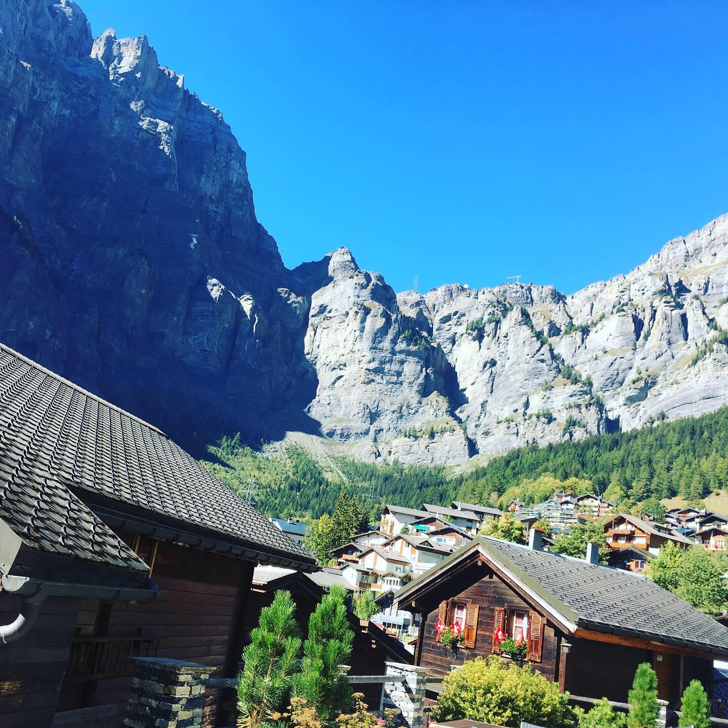 Soldanella_aussicht-sommer_a Soldanella_aussicht-sommer_a